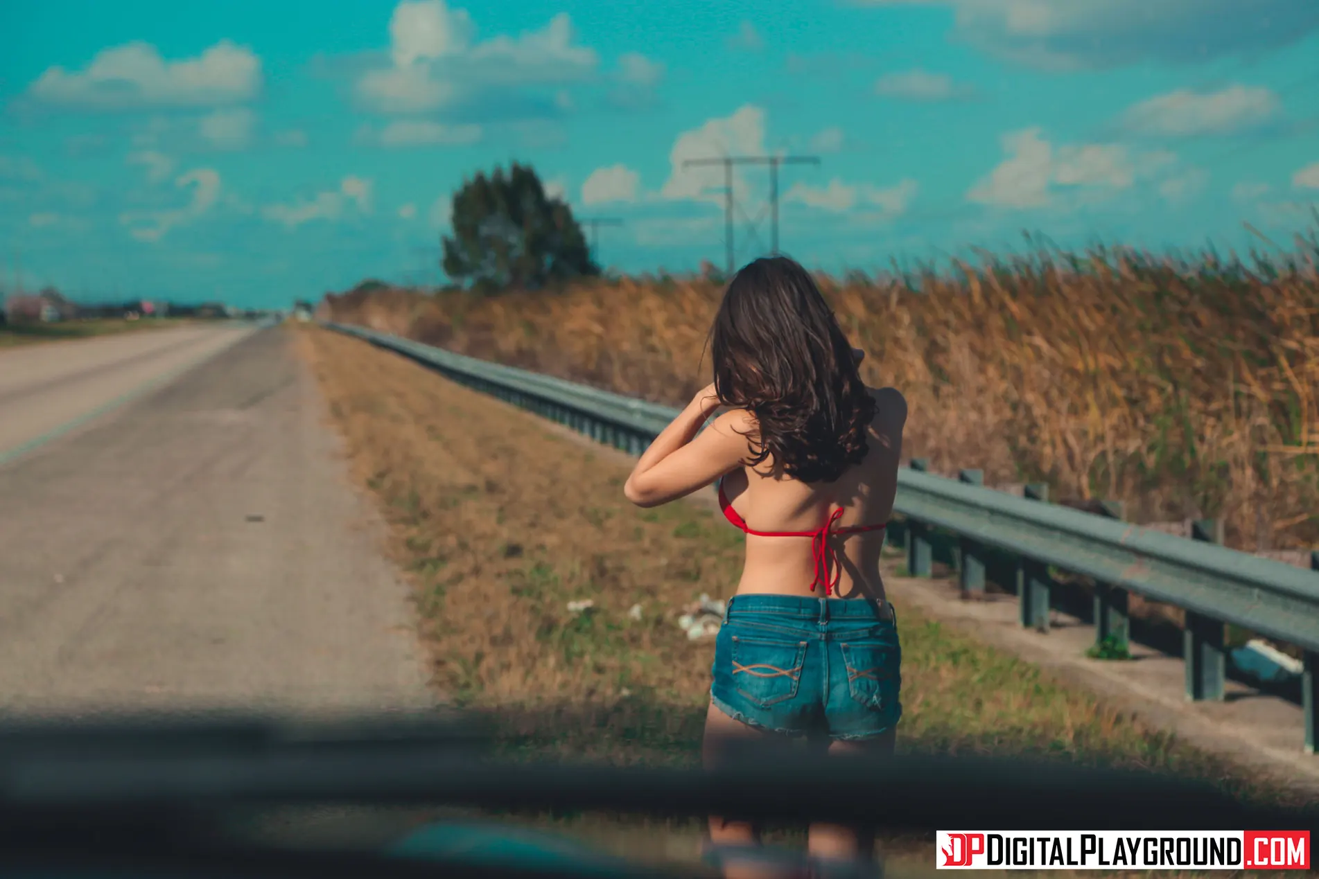 Ashly Anderson - Shag lateral de la carretera | Picture (20)