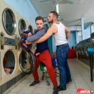 Lennox Luxe in 'Blow Dry'